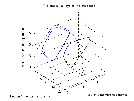 Two Stable Limit Cycles 3D